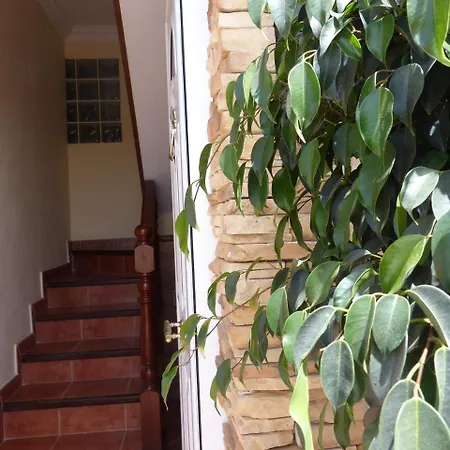Suncanarias Apartamento La Jaca *